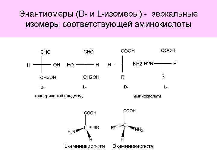 Энантиомеры (D- и L-изомеры) - зеркальные изомеры соответствующей аминокислоты L-аминокислота D-аминокислота 