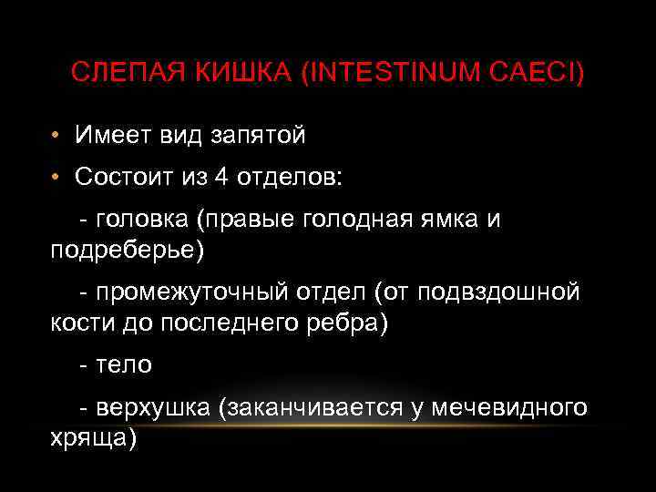 СЛЕПАЯ КИШКА (INTESTINUM CAECI) • Имеет вид запятой • Состоит из 4 отделов: -