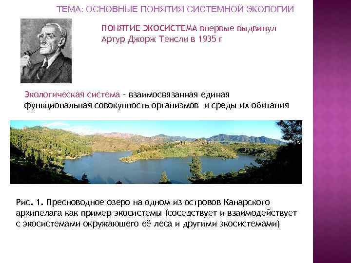 Кто ввел в науку термин экологическая система. Понятие биогеоценоз впервые выдвинул. Понятие экосистемы а.Тенсли. Смысл термина экосистемы 1935.