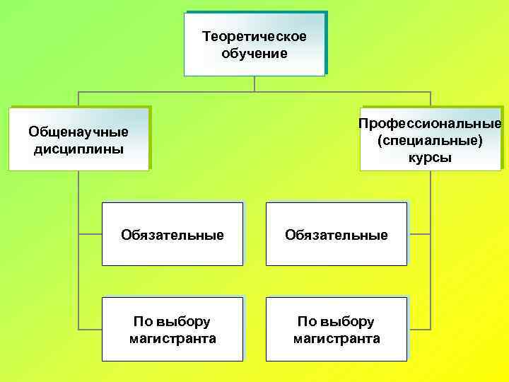 Теоретическое обучение Общенаучные дисциплины Профессиональные (специальные) курсы Обязательные По выбору магистранта 