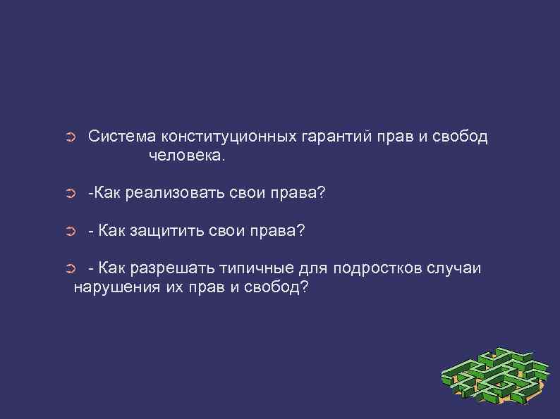 ➲ Система конституционных гарантий прав и свобод человека. ➲ -Как реализовать свои права? ➲