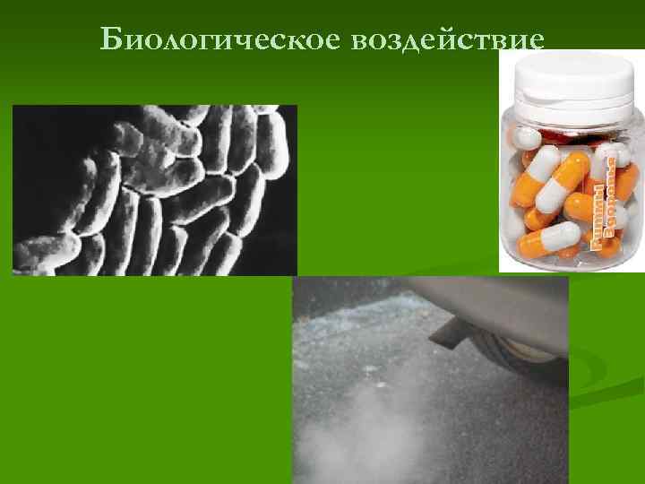Биологическое воздействие 