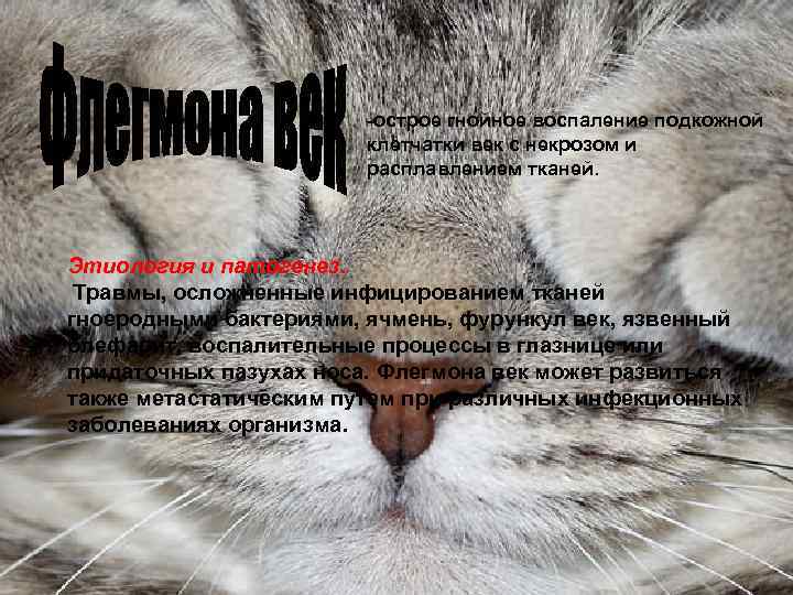 -острое гнойное воспаление подкожной клетчатки век с некрозом и расплавлением тканей. Этиология и патогенез.