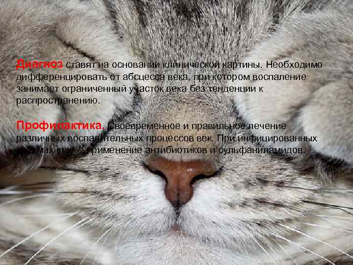 Диагноз ставят на основании клинической картины. Необходимо дифференцировать от абсцесса века, при котором воспаление