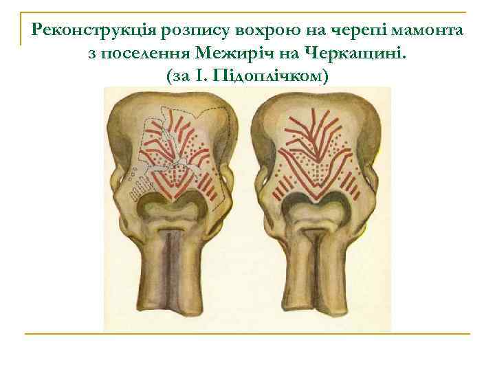 Реконструкція розпису вохрою на черепі мамонта з поселення Межиріч на Черкащині. (за І. Підоплічком)
