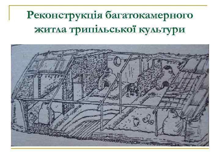 Реконструкція багатокамерного житла трипільської культури 