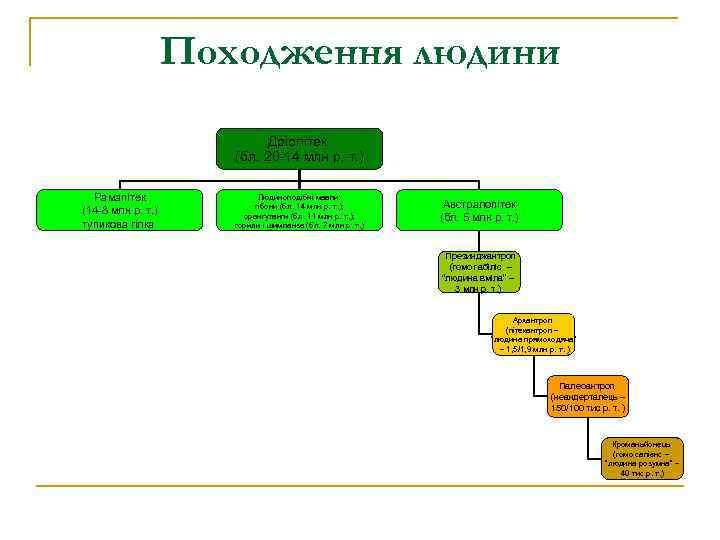 Походження людини Дріопітек (бл. 20 -14 млн р. т. ) Рамапітек (14 -8 млн