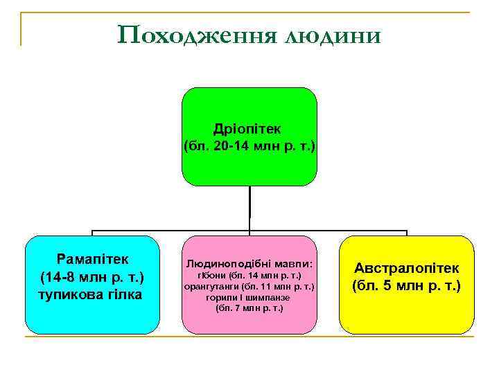 Походження людини Дріопітек (бл. 20 -14 млн р. т. ) Рамапітек (14 -8 млн