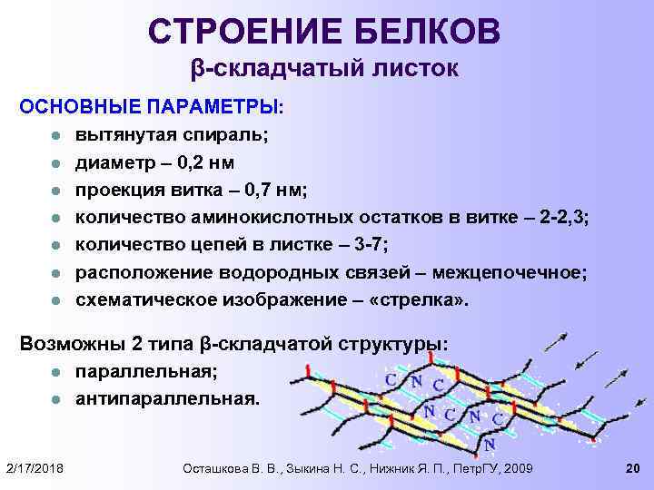 Информация о структуре белков