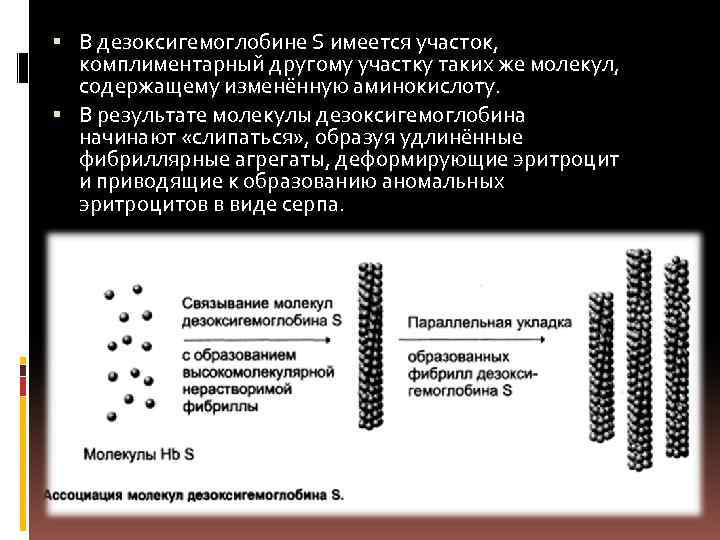  В дезоксигемоглобине S имеется участок, комплиментарный другому участку таких же молекул, содержащему изменённую