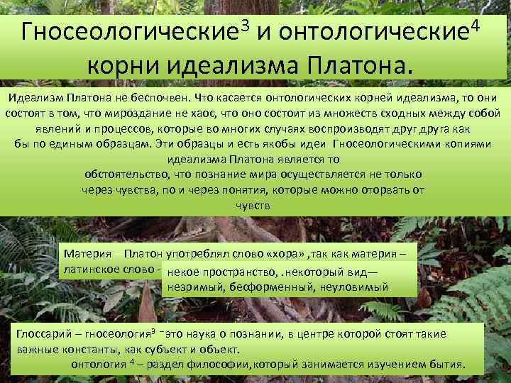 Гносеологические 3 и онтологические 4 корни идеализма Платона. Идеализм Платона не беспочвен. Что касается