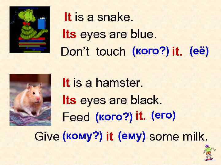 It is a snake. Its eyes are blue. Don’t touch (кого? ) it. (её)