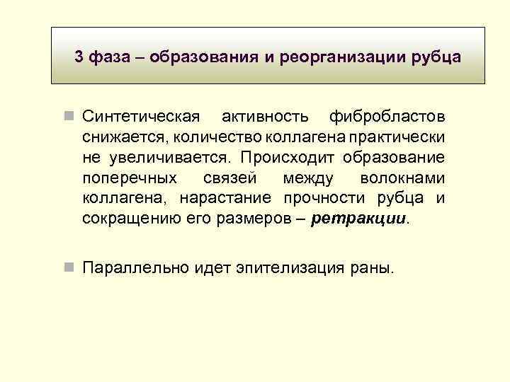 3 фаза – образования и реорганизации рубца Синтетическая активность фибробластов снижается, количество коллагена практически