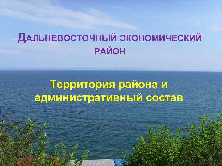 ДАЛЬНЕВОСТОЧНЫЙ ЭКОНОМИЧЕСКИЙ РАЙОН Территория района и административный состав 