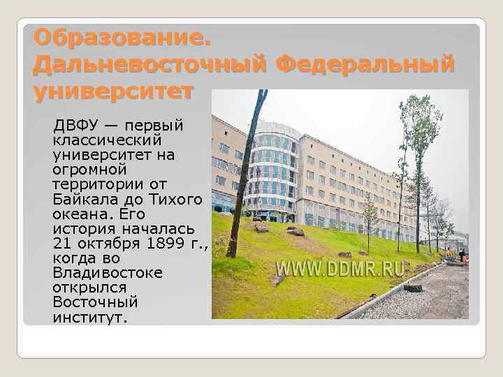 Образование. Дальневосточный Федеральный университет ДВФУ — первый классический университет на огромной территории от Байкала