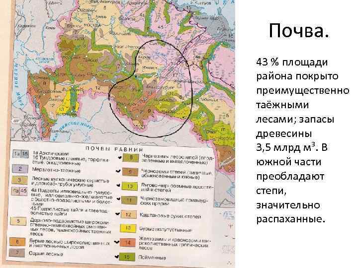 Почвы уральского экономического района