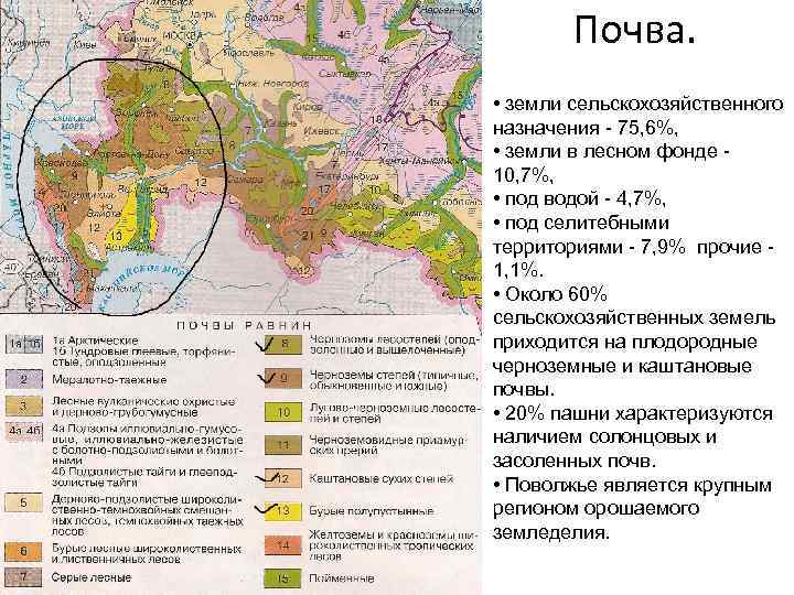 Какие природные зоны представлены на территории поволжья