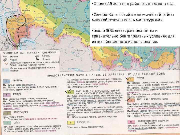 Физическая карта северо кавказского экономического района