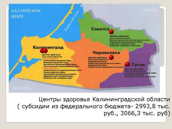 Центры здоровья Калининградской области ( субсидии из федерального бюджета- 2993, 8 тыс. руб. ,