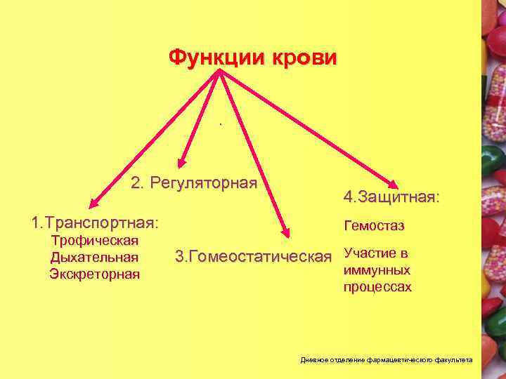 Компоненты внутренней. Основные функции крови: Регуляторная, защитная, транспортная. Регуляторная функция крови. Транспортная функция Регуляторная. Транспортная функция крови.