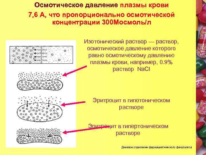 Компоненты составляют внутреннюю среду организма человека