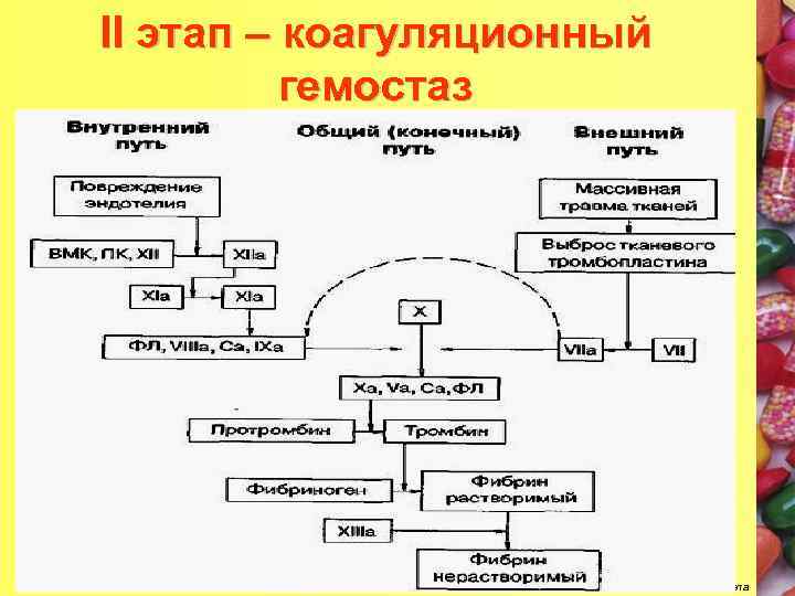 Схема коагуляционного гемостаза