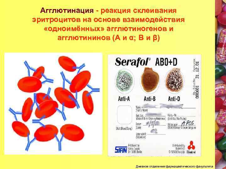 Картинки реакции агглютинации