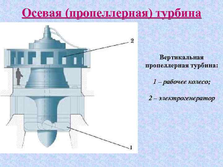 Осевая (пропеллерная) турбина Вертикальная пропеллерная турбина: 1 – рабочее колесо; 2 – электрогенератор 