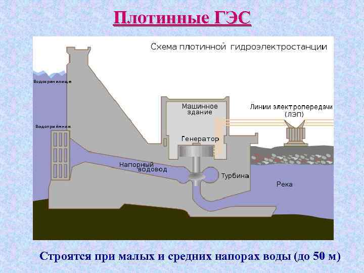 Плотинные ГЭС Строятся при малых и средних напорах воды (до 50 м) 