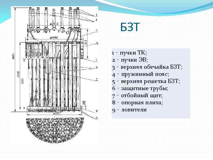 БЗТ 1 ‑ пучки ТК; 2 ‑ пучки ЭВ; 3 ‑ верхняя обечайка БЗТ;