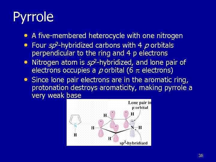 Pyrrole • A five-membered heterocycle with one nitrogen • Four sp 2 -hybridized carbons