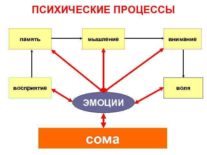 Познавательные процессы рисунок