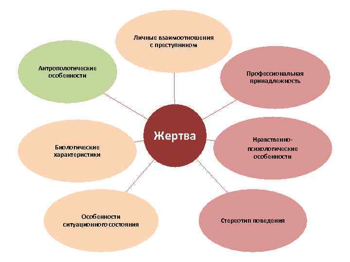 Личные взаимоотношения с преступником Антропологические особенности Биологические характеристики Особенности ситуационного состояния Профессиональная принадлежность Жертва