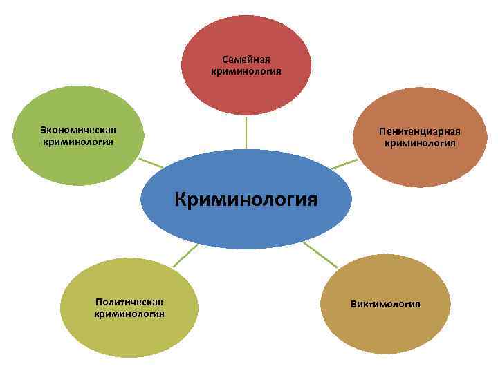 Семейная криминология Экономическая криминология Пенитенциарная криминология Криминология Политическая криминология Виктимология 