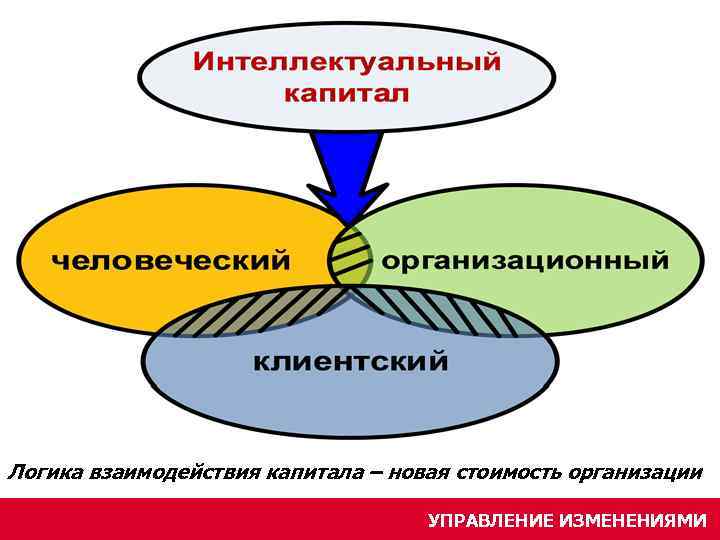 Логика взаимодействия капитала – новая стоимость организации УПРАВЛЕНИЕ ИЗМЕНЕНИЯМИ 