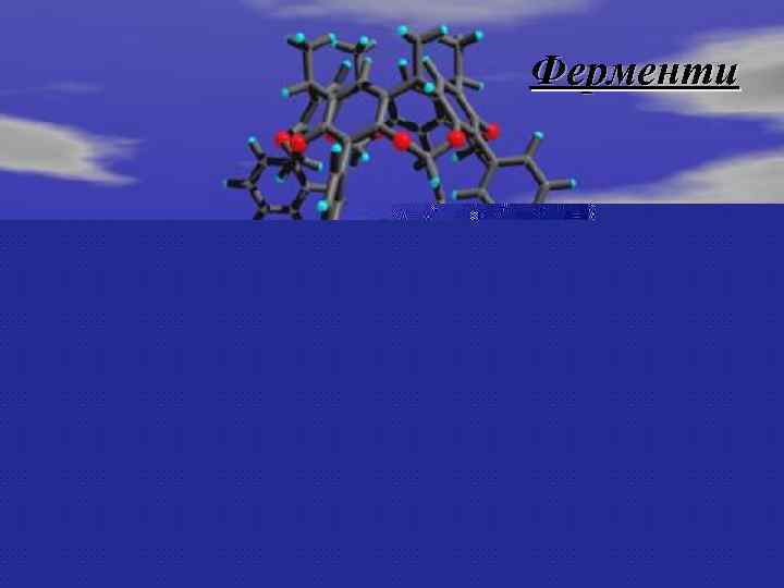 Ферменти 