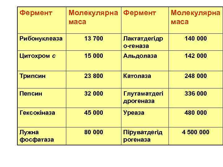 Фермент Молекулярна Фермент маса Молекулярна маса Рибонуклеаза 13 700 Лактатдегідр о-геназа 140 000 Цитохром