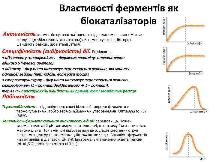 Властивості ферментів як біокаталізаторів Активність ферментів суттєво змінюється під впливом певних хімічних сполук, що