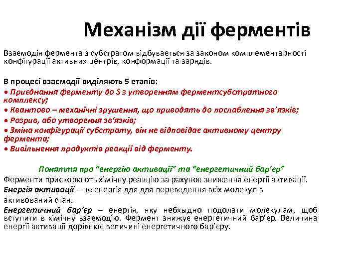 Механізм дії ферментів Взаємодія фермента з субстратом відбувається за законом комплементарності конфігурації активних центрів,