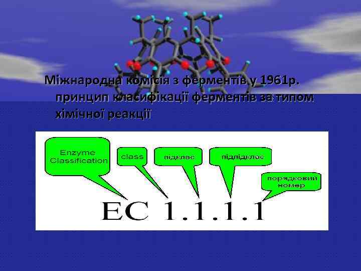 Міжнародна комісія з ферментів у 1961 р. принцип класифікації ферментів за типом хімічної реакції