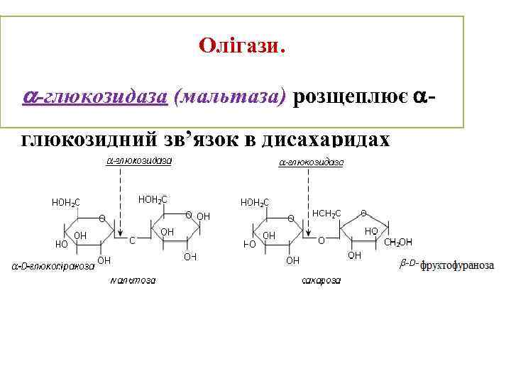 Альфа глюкозидаза. Мальтаза фермент. Амилаза и мальтаза. Глюкозидаза реакция.