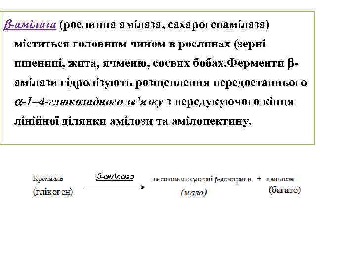  -амілаза (рослинна амілаза, сахарогенамілаза) міститься головним чином в рослинах (зерні пшениці, жита, ячменю,