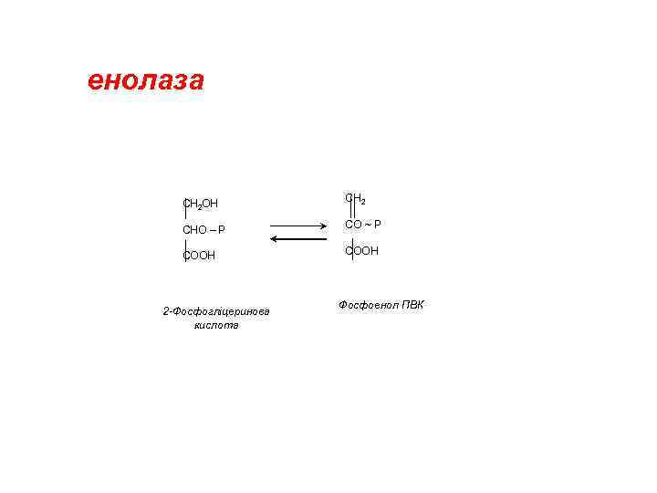 енолаза СН 2 ОН СН 2 СНО – Р СО ~ Р СООН 2