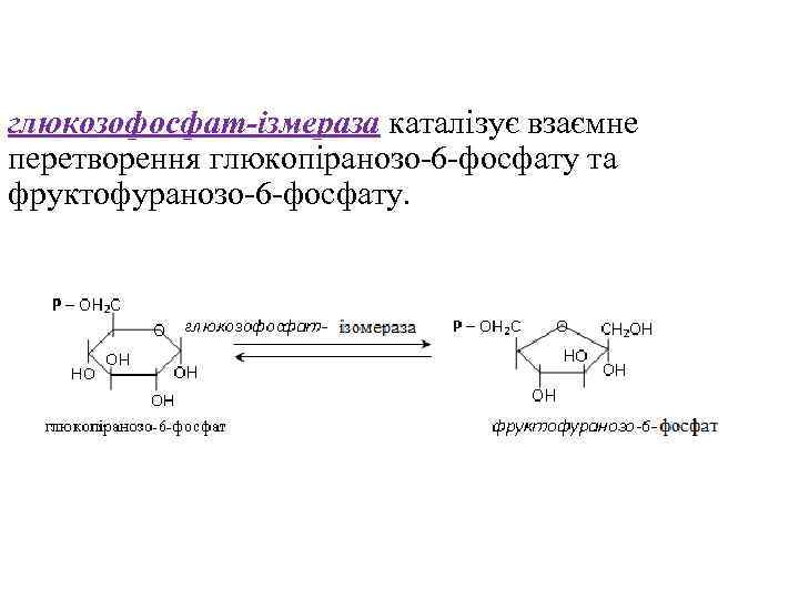 глюкозофосфат-ізмераза каталізує взаємне перетворення глюкопіранозо-6 -фосфату та фруктофуранозо-6 -фосфату. 