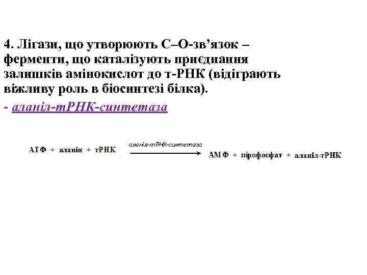 4. Лігази, що утворюють C–O-зв’язок – ферменти, що каталізують приєднання залишків амінокислот до т-РНК