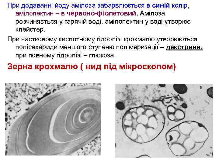 При додаванні йоду амілоза забарвлюється в синій колір, амілопектин – в червоно-фіолетовий. Амілоза розчиняється