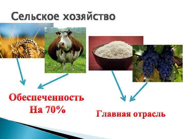 Сельское хозяйство Обеспеченность На 70% Главная отрасль 