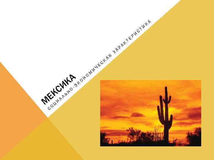 А КОНО К ИНО-Э КСЛ Ь Е А М ОЦИ С М И Ч