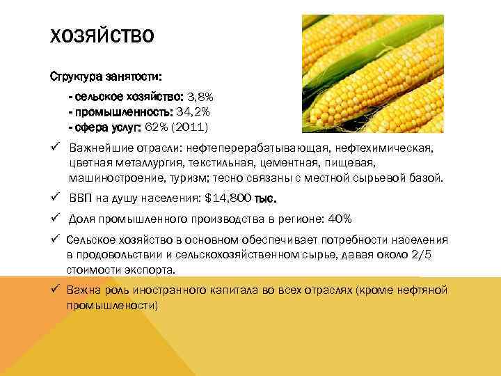 ХОЗЯЙСТВО Структура занятости: - сельское хозяйство: 3, 8% - промышленность: 34, 2% - сфера