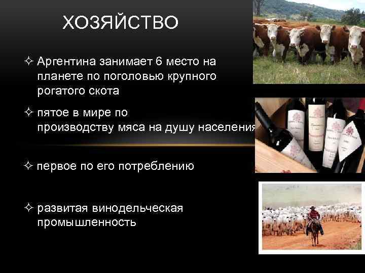 ХОЗЯЙСТВО ² Аргентина занимает 6 место на планете по поголовью крупного рогатого скота ²